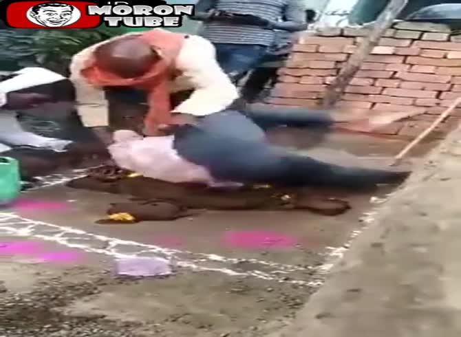 Video :hypnotizing in front of a large mound of cow feces!